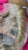 18” Honey Blonde 13x4 180%